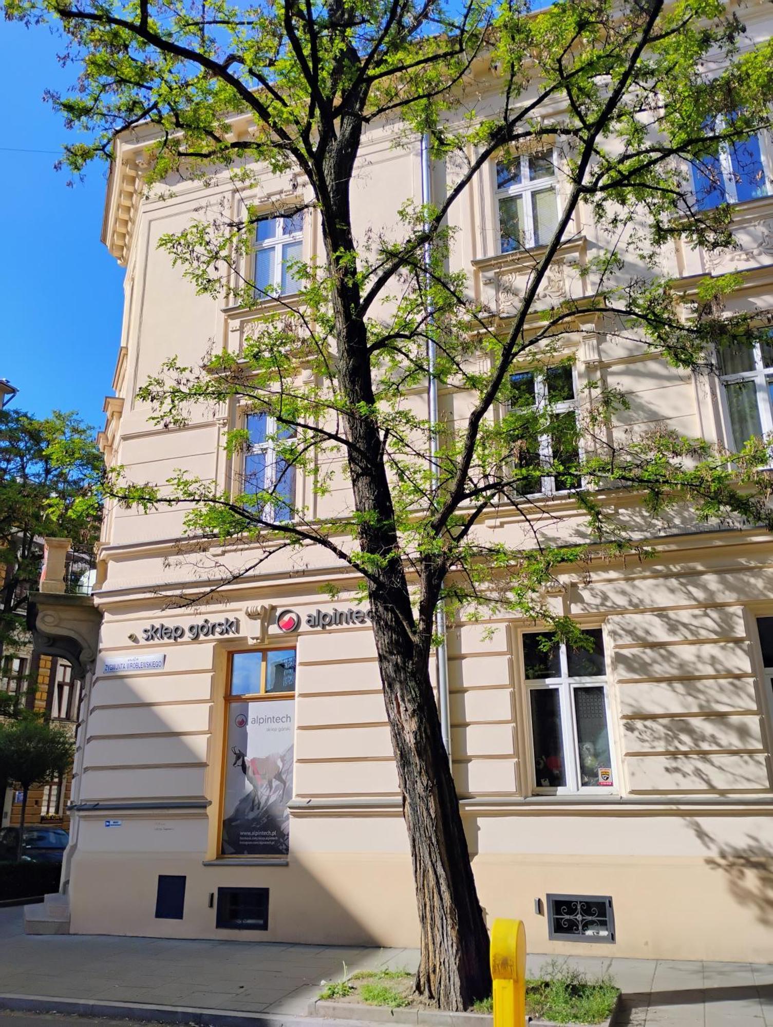 Apartament Rozy Krakkó Kültér fotó